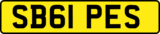 SB61PES
