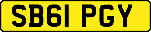 SB61PGY