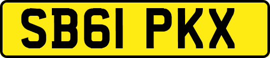 SB61PKX
