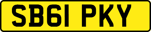 SB61PKY