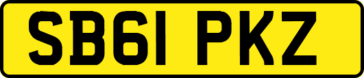 SB61PKZ