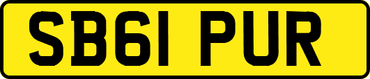 SB61PUR