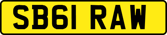SB61RAW