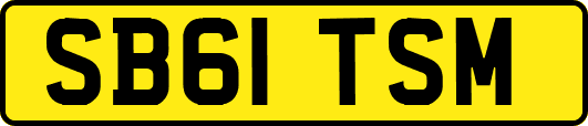 SB61TSM
