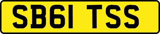 SB61TSS