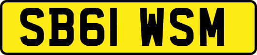 SB61WSM
