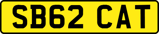 SB62CAT
