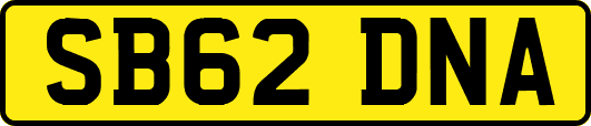SB62DNA