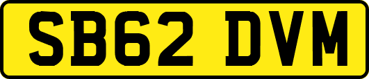 SB62DVM
