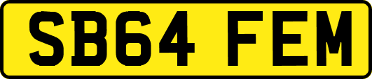 SB64FEM