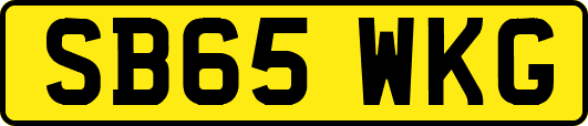 SB65WKG