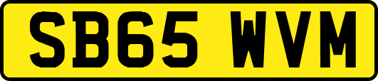 SB65WVM