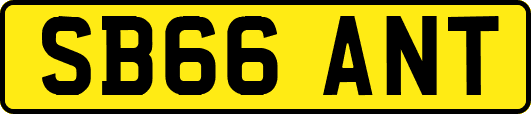 SB66ANT