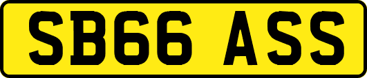 SB66ASS