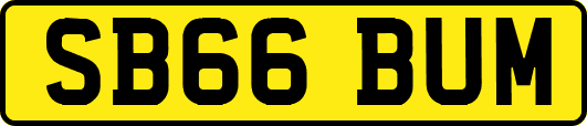 SB66BUM