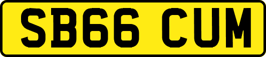 SB66CUM