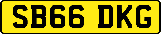 SB66DKG