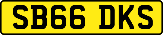 SB66DKS