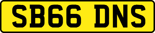 SB66DNS