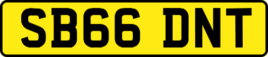 SB66DNT