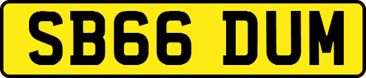 SB66DUM