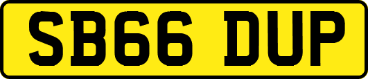 SB66DUP