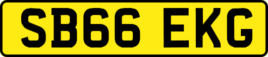SB66EKG