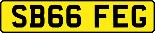 SB66FEG