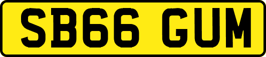 SB66GUM
