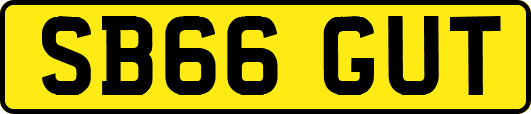 SB66GUT