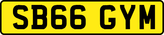SB66GYM