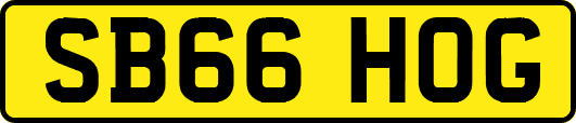 SB66HOG