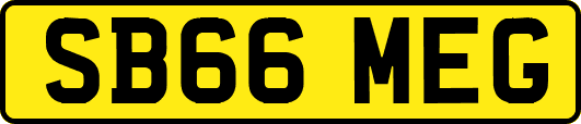 SB66MEG