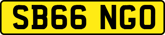 SB66NGO