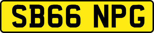SB66NPG