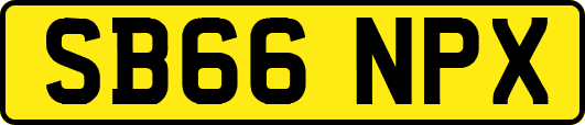 SB66NPX