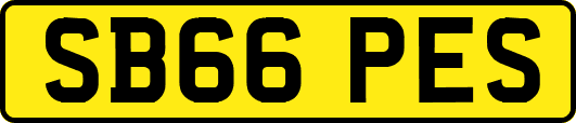 SB66PES