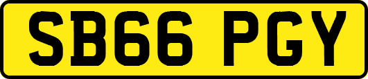 SB66PGY
