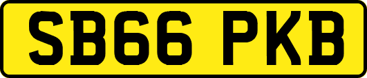 SB66PKB