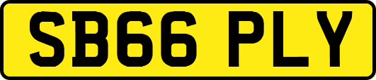 SB66PLY