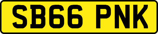 SB66PNK