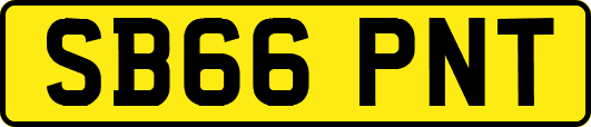 SB66PNT