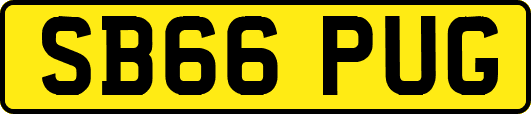 SB66PUG
