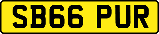 SB66PUR