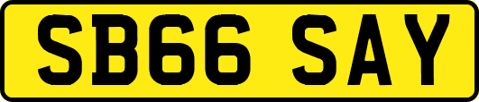 SB66SAY