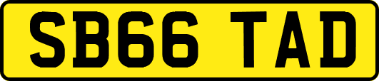 SB66TAD