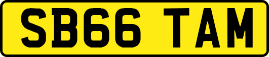 SB66TAM