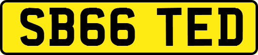 SB66TED