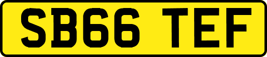 SB66TEF