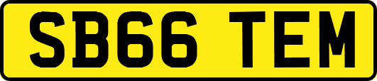 SB66TEM